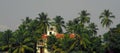 Beautiful brightly painted old houses in shady palm groves