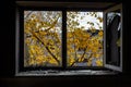 Beautiful broken window. Square glasses. Autumn view.