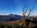 Beautiful Bromo landscape Royalty Free Stock Photo