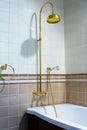 Beautiful bronze faucet