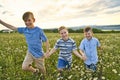 Beautiful brother boy in daisy field on sunset, summertime Royalty Free Stock Photo