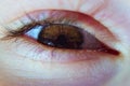 Beautiful brown eye of the child in a large approximation