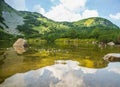 A beautiful brown female duck swimming in the mountain lake. Mountain landscape with birds.