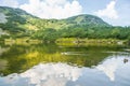 A beautiful brown female duck swimming in the mountain lake. Mountain landscape with birds.