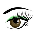 Beautiful brown female eye with eyelashes, eyebrows and green shadow isolated on white background. Flat style logo or Royalty Free Stock Photo