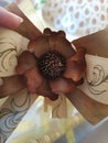 Beautiful brown flower for interior or cadeau wrapping