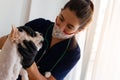 Beautiful brown-haired female veterinarian checking a small white dog Royalty Free Stock Photo