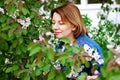 Beautiful brown haired woman with blue eyes in an Apple orchard sniffing blooming flowers Royalty Free Stock Photo