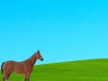 Beautiful brown horse with clear sky