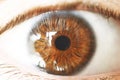 Beautiful brown human eye very close up macro photography Royalty Free Stock Photo