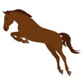 Beautiful brown jumping horse, vector illustration