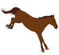 Beautiful brown jumping horse, vector illustration