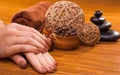 Beautiful brown manicure on a bamboo background