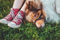 Beautiful brown redhead dog lying in the grass after long play, having fun outdoors. Happy hipster girl with her best Royalty Free Stock Photo