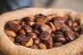 Beautiful brown ripe chestnuts in a jute sack or bag