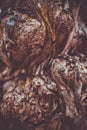 Beautiful brown tree bark texture macro photography background