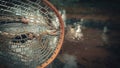 Beautiful brown trout in fishing landing net. Fishing principle of "catch and release Royalty Free Stock Photo