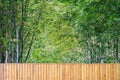 Beautiful brown wooden door decoration and blurred bamboo garden in background. A simple beautiful plank fence wall with bamboo. Royalty Free Stock Photo