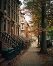 Beautiful brownstones and autumn color, Bedford-Stuyvesant, Brooklyn, New York