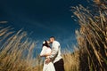 Beautiful brunette bride and elegant stylish groom with true happy feelings kissing in a sunny field, life concept Royalty Free Stock Photo