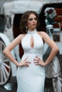 Beautiful brunette bride near horse carriage Royalty Free Stock Photo