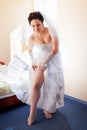 Beautiful brunette bride Royalty Free Stock Photo