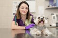 Beautiful brunette doctor vet examines a small cute dog breed Yorkshire Terrier at a veterinary clinic. Happy dog on medical