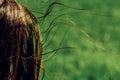 Beautiful brunette girl in windy green field, sunny springtime, Royalty Free Stock Photo