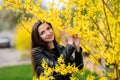 Beautiful brunette near the yellow foliage. Cute beautiful smile woman walking in yellow autumn park. The girl in near the tree Royalty Free Stock Photo