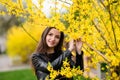 Beautiful brunette near the yellow foliage. Cute beautiful smile woman walking in yellow autumn park. The girl in near the tree Royalty Free Stock Photo