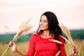 Beautiful brunette woman with a red dress in a field Royalty Free Stock Photo