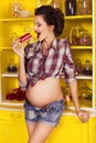 Beautiful brunette woman on a 7th month pregnancy in plaid shirt Royalty Free Stock Photo