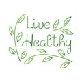 Beautiful brush lettering , Live healthy. Hand drawm Vector