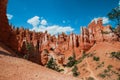 Beautiful Bryce Canyon National Park in Utah, USA. Orange rocks, blue sky. Giant natural amphitheaters and hoodoos formations. Royalty Free Stock Photo