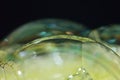 Beautiful bubble on macro photography for backgounds