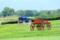 Beautiful buckboard