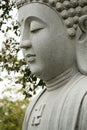 Beautiful Buddha statue