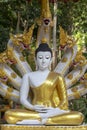 Beautiful Buddha statue with Naga heads at buddhist temple, Thailand. Royalty Free Stock Photo