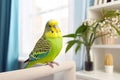 Beautiful budgerigar on window sill indoors. Pet parrot