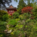 Japanese Tea Garden, Golden Gate Park, San Francisco, California. Royalty Free Stock Photo