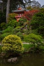 Japanese Tea Garden, Golden Gate Park, San Francisco, California. Royalty Free Stock Photo