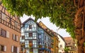 Beautiful buildings and trees in France, Alsace Royalty Free Stock Photo