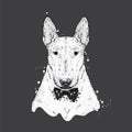 A beautiful bull terrier with a tie with thorns. Fashion & Style. Clothes and accessories. Vector illustration.