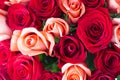 A Beautiful Bunch of Beautiful Tight Red and Salmon Roses in a tight bunch