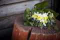 Beautiful bunch of garden flowers laying on the wooden background. Spring bouquet of forget me not, narcissus, daffodils