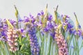 Beautiful bunch of lupines and wild iris Royalty Free Stock Photo