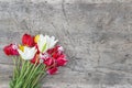 Beautiful bunch of red, purple, white and yellow tulips on rustic wooden non paint background. Royalty Free Stock Photo
