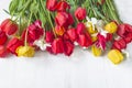 Beautiful bunch of red, yellow tulips on white wooden background. Royalty Free Stock Photo