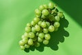 Fresh Green Grapes Cluster With Leaves on a Solid Green Background Royalty Free Stock Photo