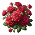 beautiful bunch of roses as a center piece bouquet on white background